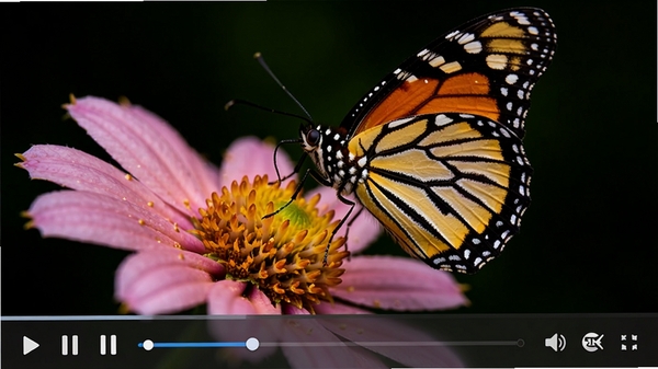 Casperplayer 软件播放 4K 超高清视频演示图,画面中展示了一只色彩鲜艳的蝴蝶停在花朵上,细节纹理清晰可见,视频播放器控制栏在画面下方半透明显示,包含播放、暂停、进度条、音量控制等按钮,背景为深色,突出视频画质