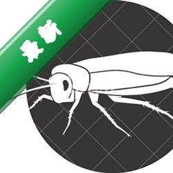 cockroach on desktopv1.1���԰�