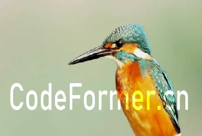 codeformer���������Դ����_codeformer�ٷ�����_codeformer�������_codeformer����������������׿������