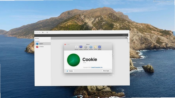 CookieViewer运行截图