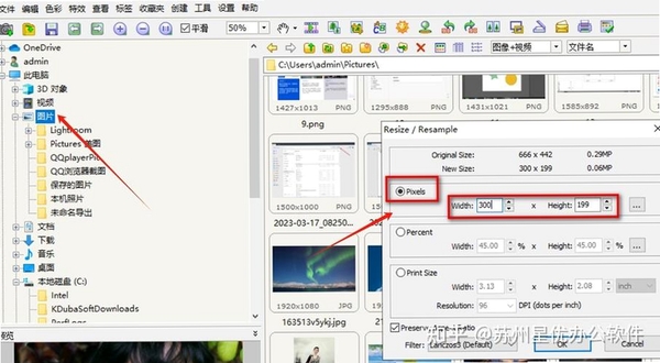 FastStone Image Viewer ����ת��ͼƬ�̳�