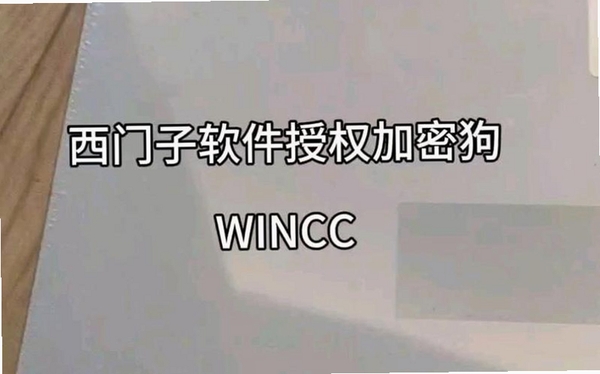 硬件狗狗运行截图