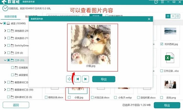 �������ݻָ�����DataRecovery���н�ͼ