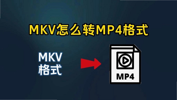 速转mp4格式转换器运行截图