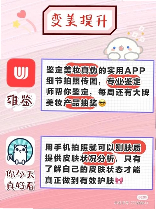 她秘运行截图