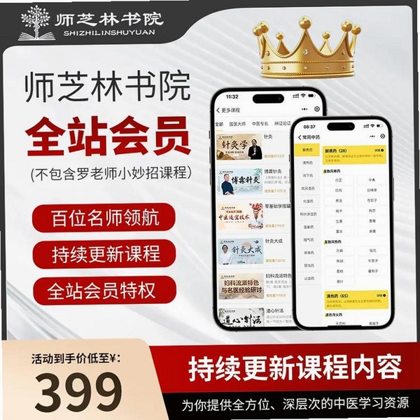 师芝林运行截图