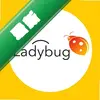 Ladybug on desktopͼ��