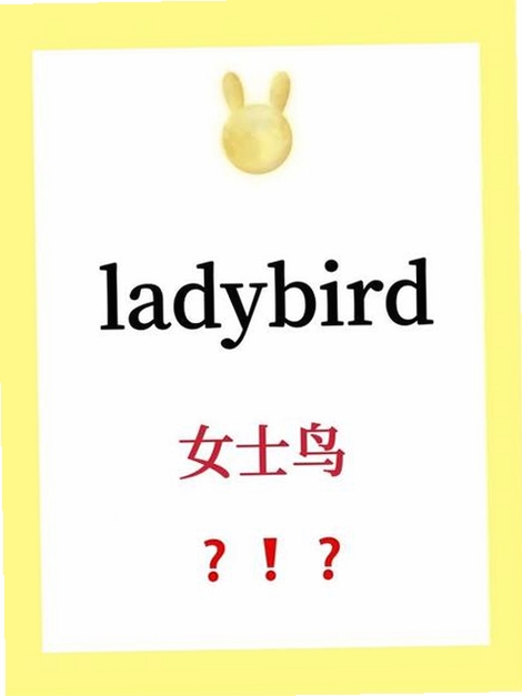 Ladybug on desktop运行截图