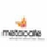 MetacafeVideoDownloader运行截图