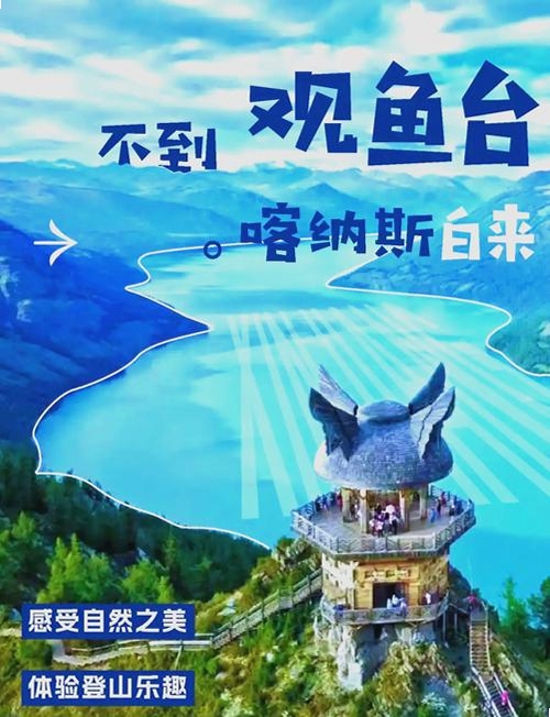 观鱼运行截图