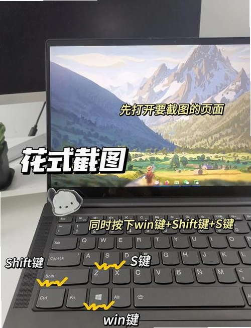 screenshoter运行截图