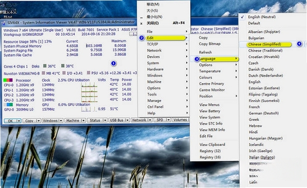 SIVSystem Information Viewer运行截图