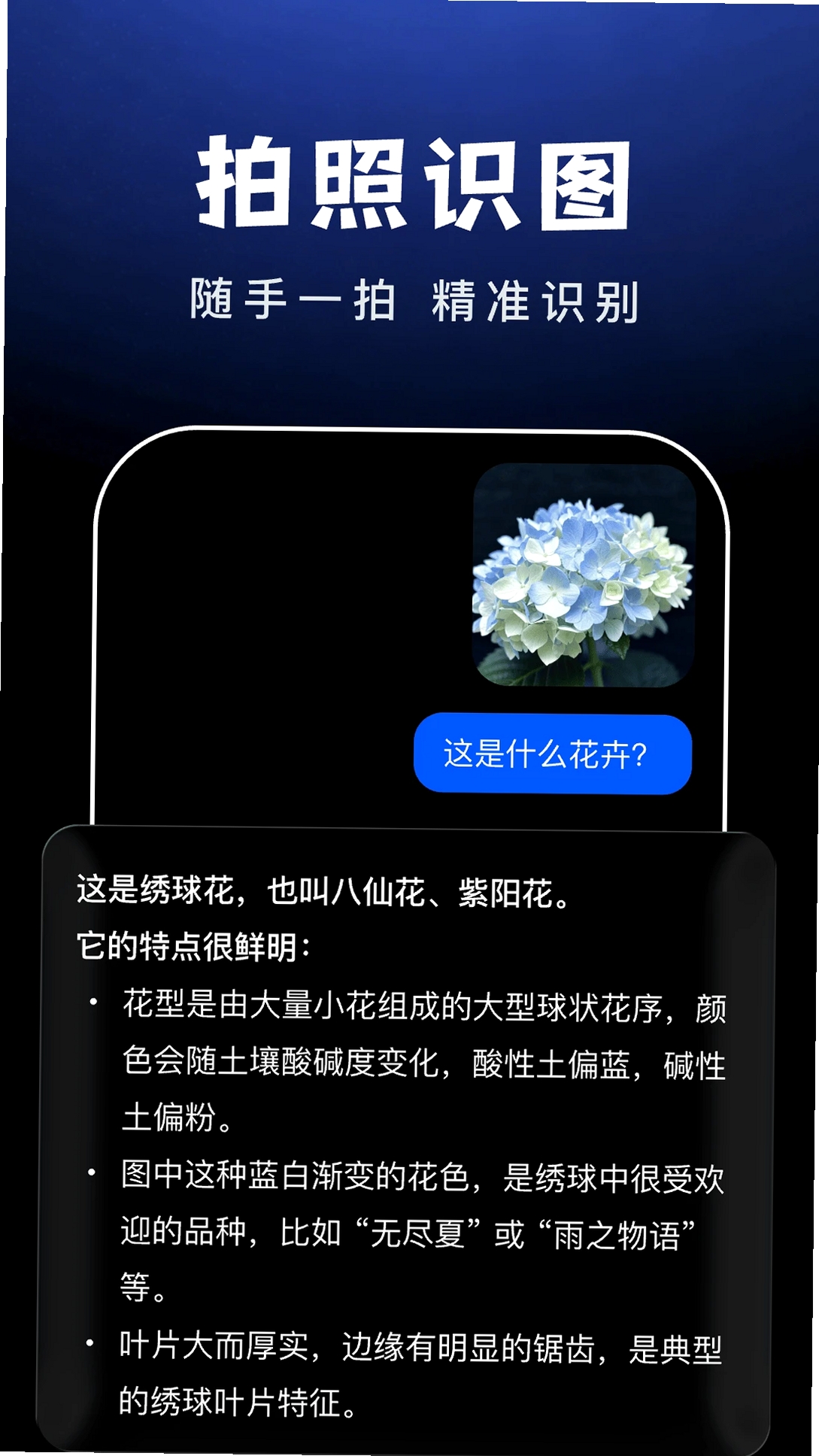 AI Agent助手运行截图