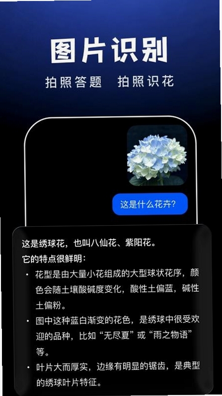 AI Agent助手运行截图