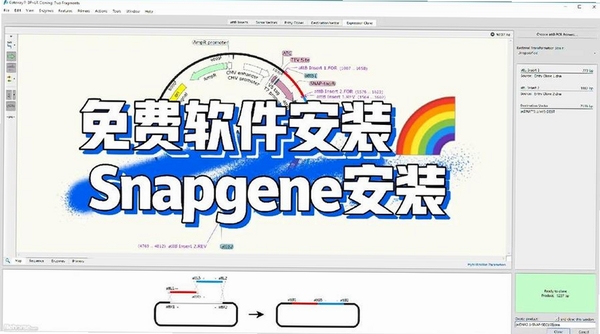 SnapDraw-Free安装教程