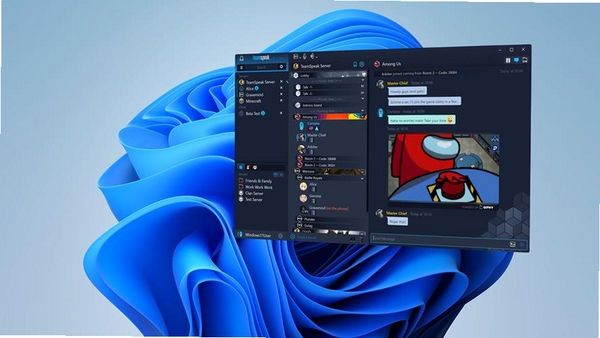 TeamSpeak3TeamSpeak 3运行截图