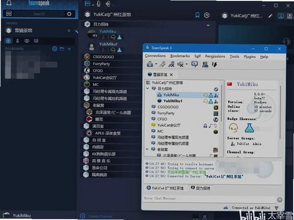 TeamSpeak3TeamSpeak 3运行截图