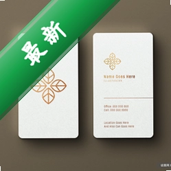 名片设计排版打印v1.0电脑版