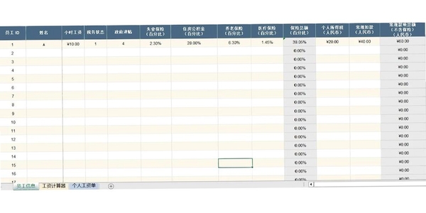 工资计算器2026运行截图