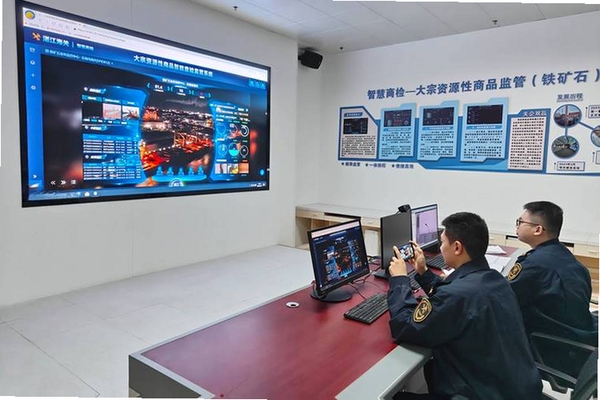 海关综合信息管理系统运行截图