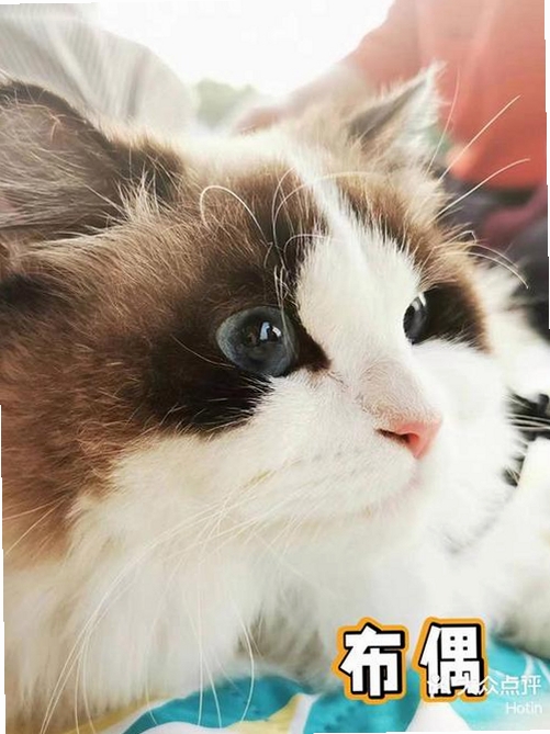 è�ۿ��������н�ͼ