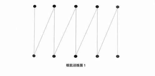 超级速读训练图运行截图