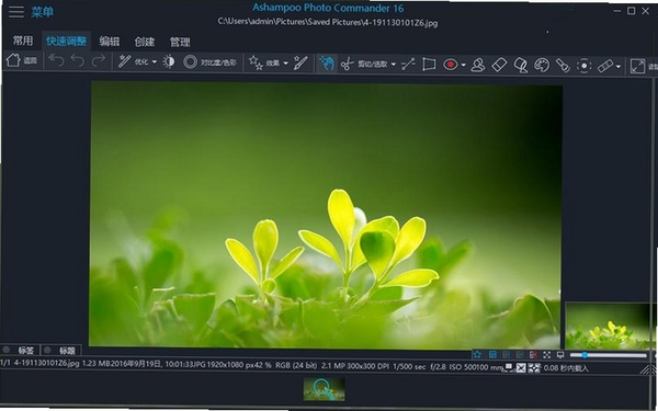 AshampooPhotoCommander运行截图