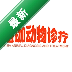 FreshDiagnosev8.67.0.0���԰�