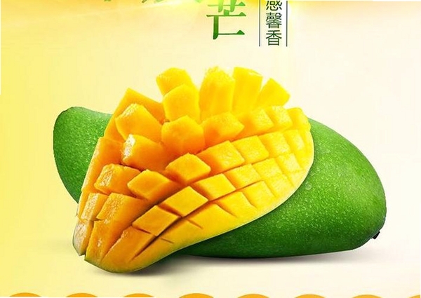 ��â��ְ���н�ͼ
