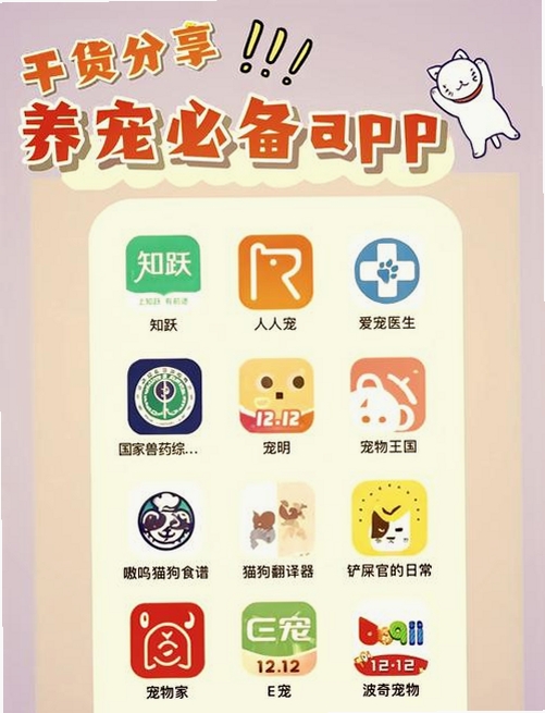 宠链APP安装教程