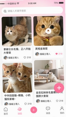 宠链运行截图