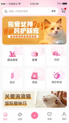 宠链运行截图