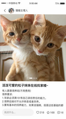宠链运行截图