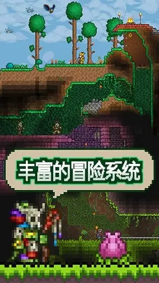 泰拉瑞亚1.4.5.7皮皮蛙汉化版下载免费运行截图
