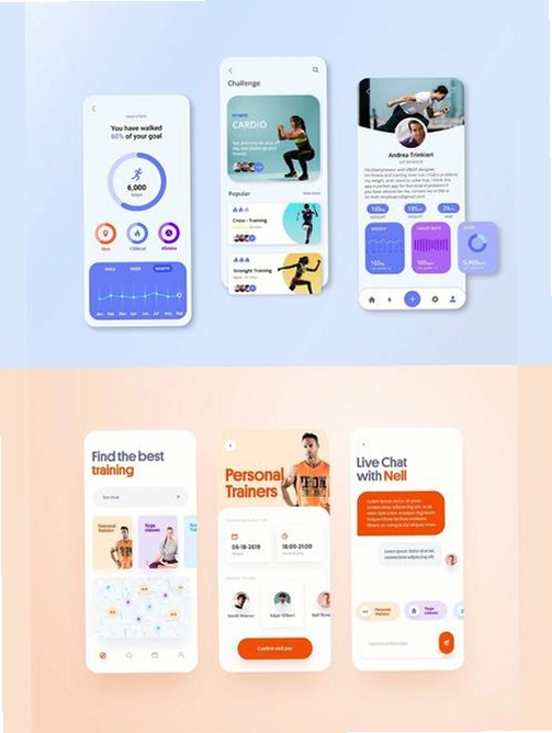 FitPro2运行截图