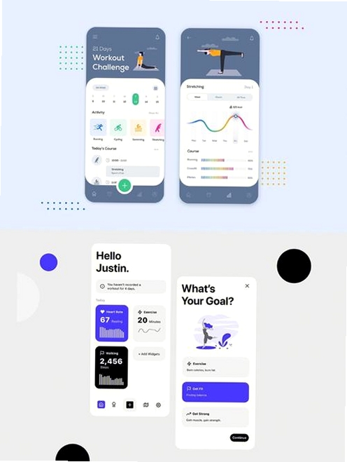 FitPro2运行截图