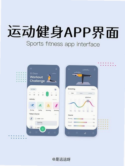 FitPro2运行截图