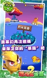 燃烧的蔬菜2运行截图
