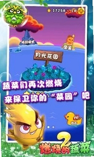燃烧的蔬菜2运行截图