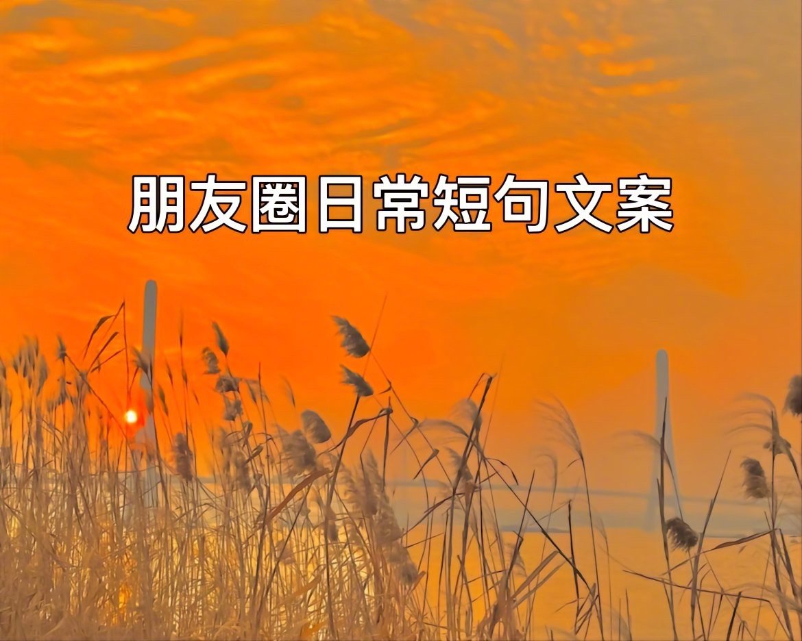 日初朋友圈短句配图