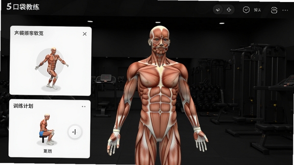 口袋教练软件主界面预览图,展示3D人体肌肉解剖模型,背景为深色健身房场景,界面简洁清晰,突出动作教学与训练计划模块,整体风格专业且现代,适合作为软件介绍首图
