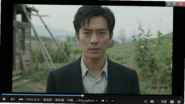 芙蓉视频播放器播放MKV格式电影画面,画面清晰,显示视频信息栏,包含音轨选择、字幕加载选项