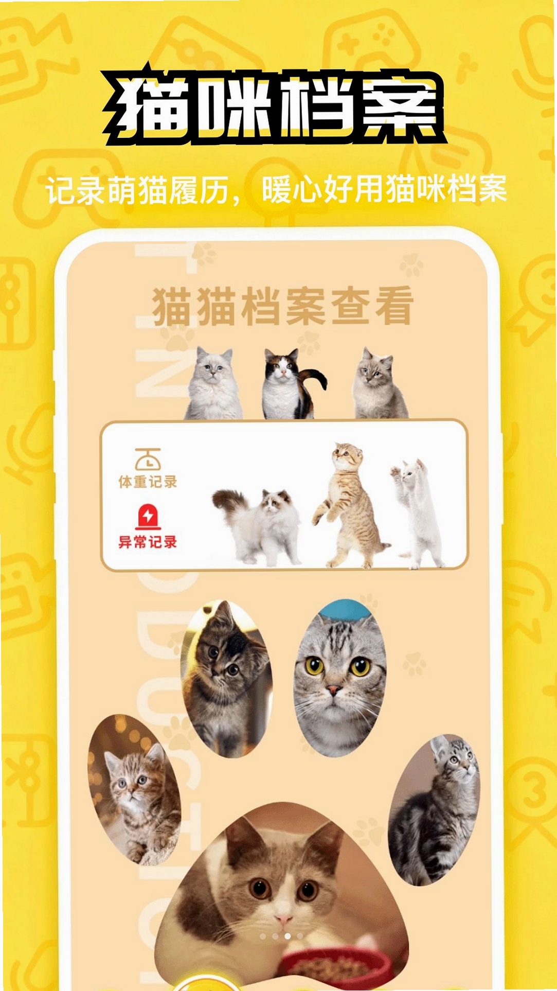 汪星成长记运行截图