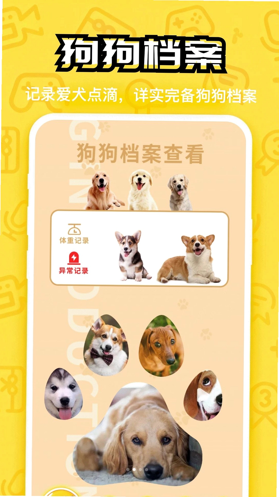汪星成长记运行截图