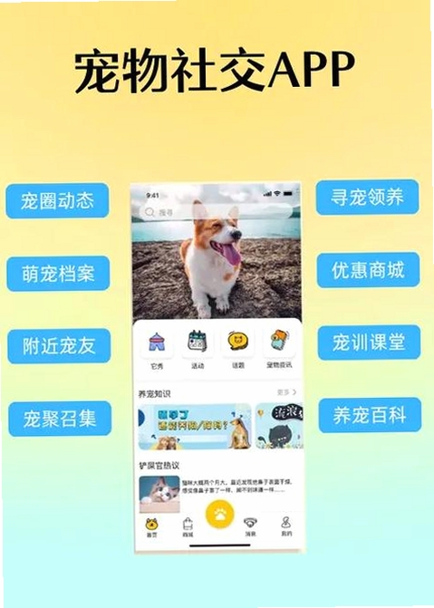 爱犬运行截图