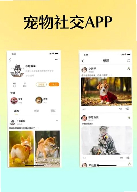 爱犬运行截图