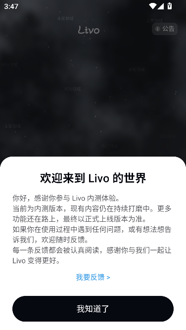 Livo loveAI互动聊天官方最新版 Livo loveAI互动聊天官方最新版
