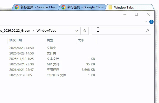 WindowTabs官方最新版 WindowTabs官方最新版