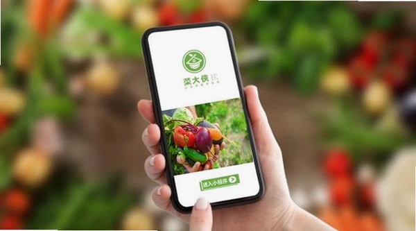 菜大侠运行截图