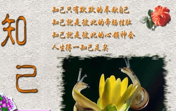 寻知己 缘分 等待 灵魂契合 知心朋友